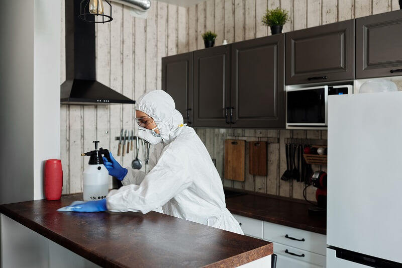 certified mold remediation contractor cleaning kitchen