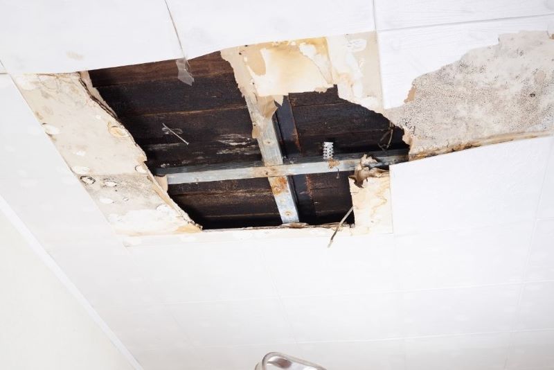 floor joists with water damage