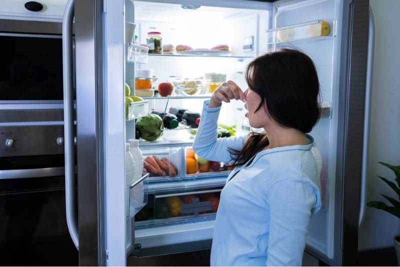 fridge make bad home smell