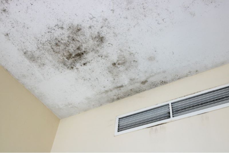 Mold On Ceiling Remediation Tips