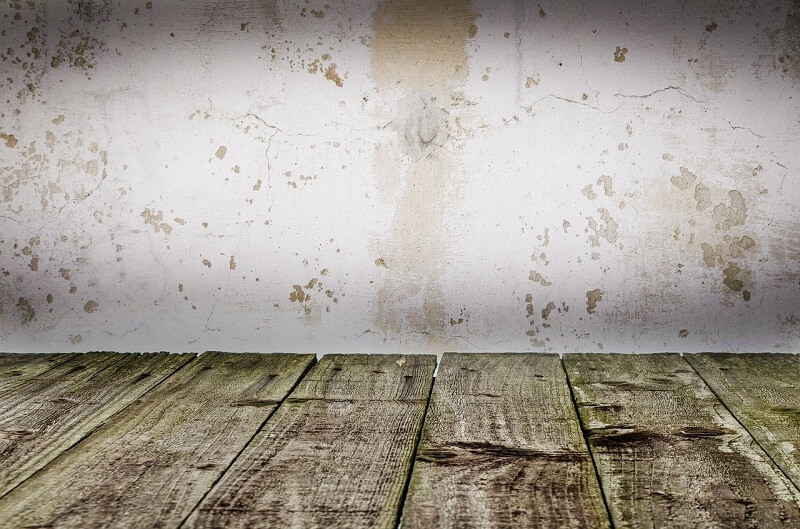 7 Tips for Water Damage Repair: A Beginner and Easy Guide